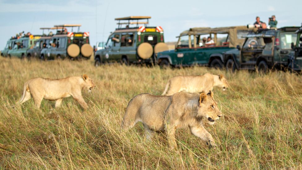 5 Days flying Safari in Masai Mara National Park