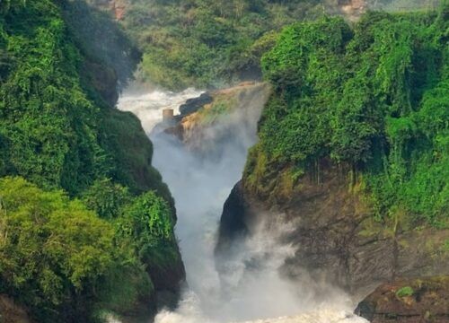 3Days Murchison falls Park Vacations