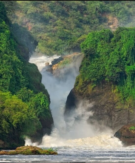 3Days Murchison falls Park Vacations