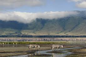 5 Days Extended Tanzania Migration Safari