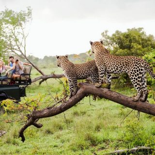 3Days Queen Elizabeth National Park Medley Experience