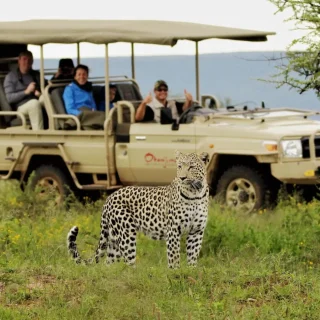 8-Day Uganda Gorilla Trekking & Masai Mara Safari