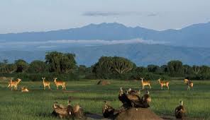 5 days Queen Elizabeth and Fort portal