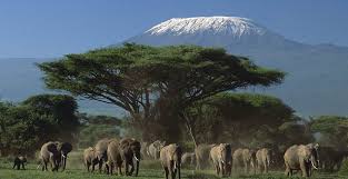 9 Days Best Parks and Big 5 Beverly luxury Safari-Kenya