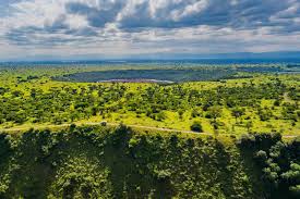 Queen Elizabeth Park Safari Guide ...