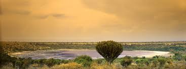 Queen Elizabeth National Park - Roots ...