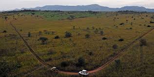 Can I fly to Kidepo national park ...