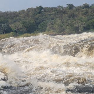 3 Days Murchison Falls & Chimpanzee Tracking